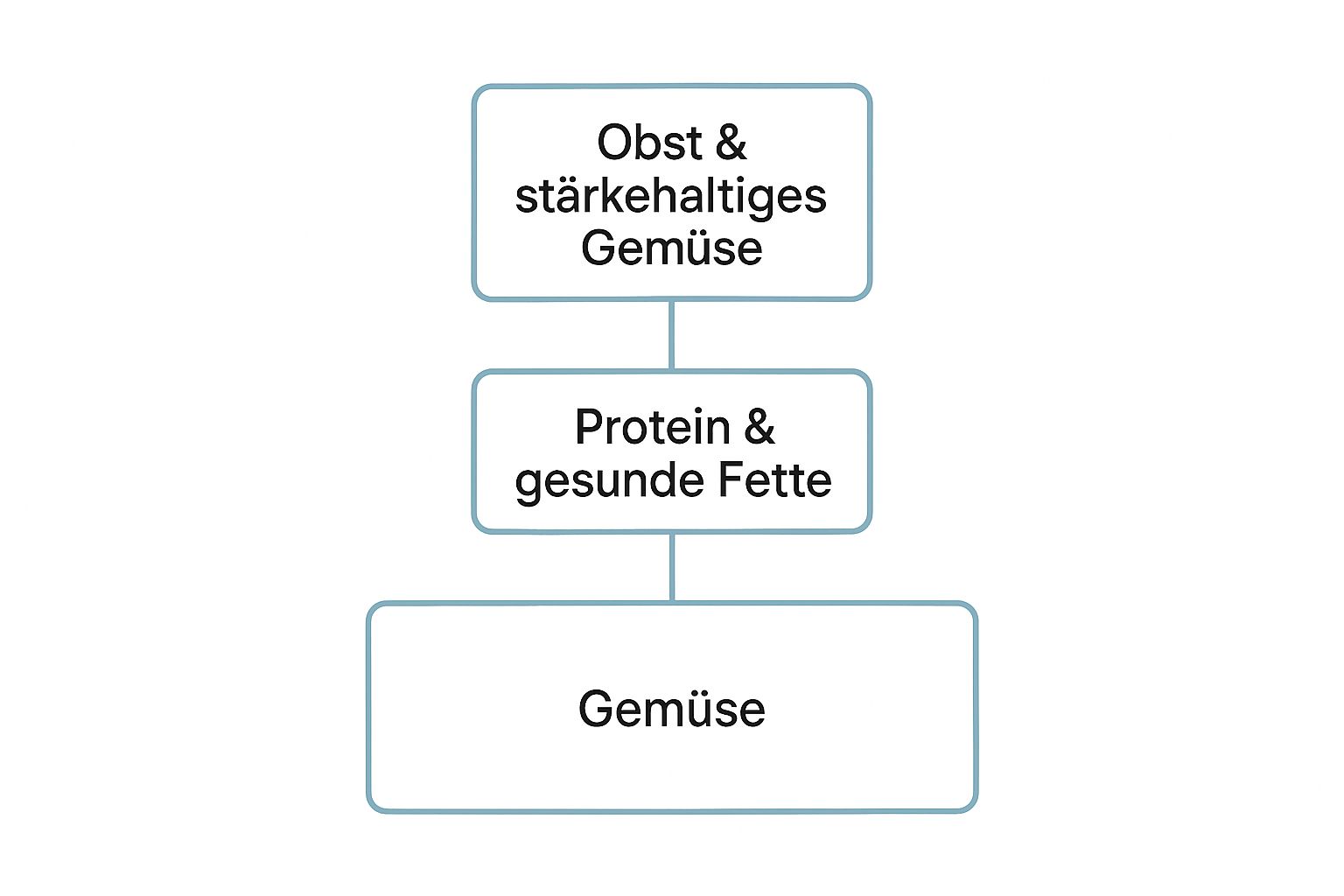 Infographic about ernährungsarten paleo