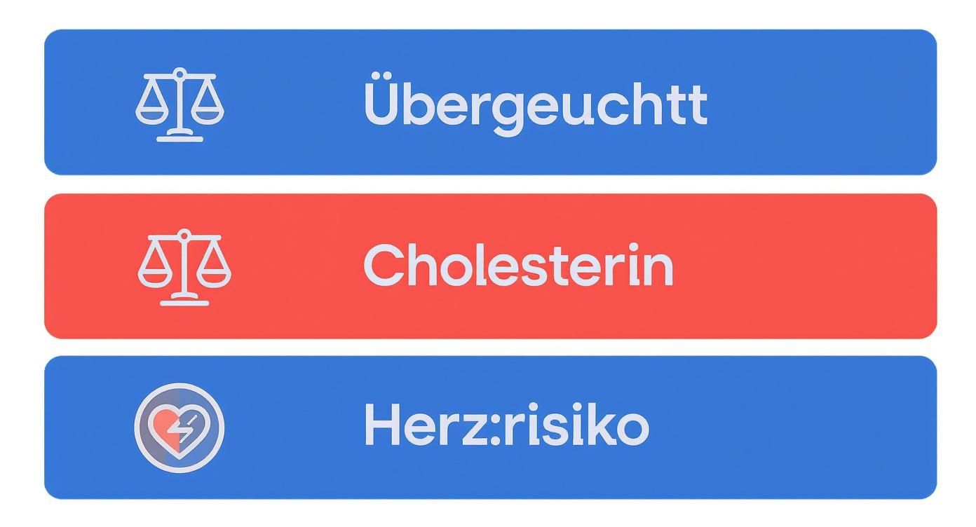 Drei farbige Schaltflächen mit Icons und Texten zu Übergewicht, Cholesterin und Herzrisiko.