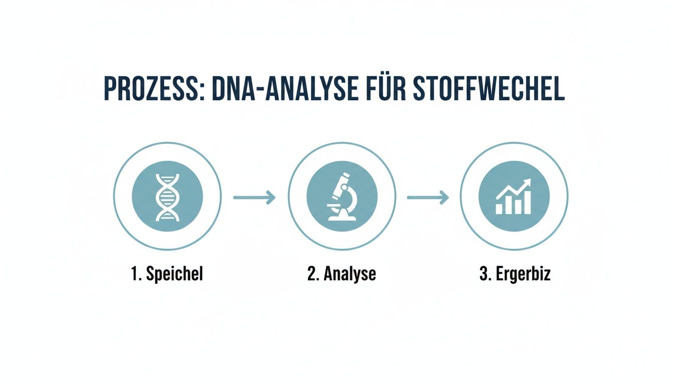 A diagram illustrates the three-stage process of DNA analysis for metabolism using saliva, analysis, and result.