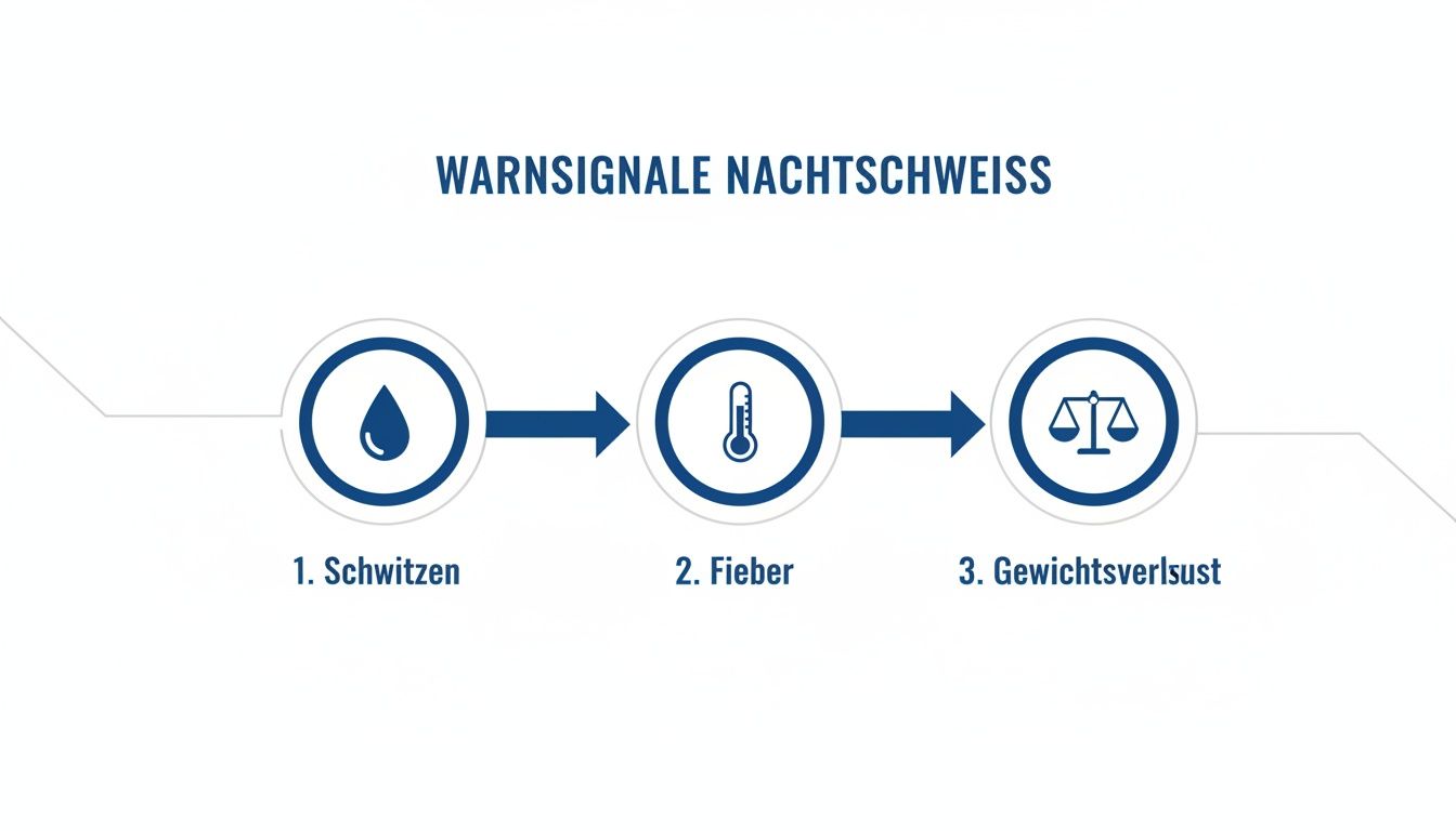 Diagramm zeigt Warnsignale für Nachtschweiß: Schwitzen, Fieber und Gewichtsverlust mit entsprechenden Symbolen.