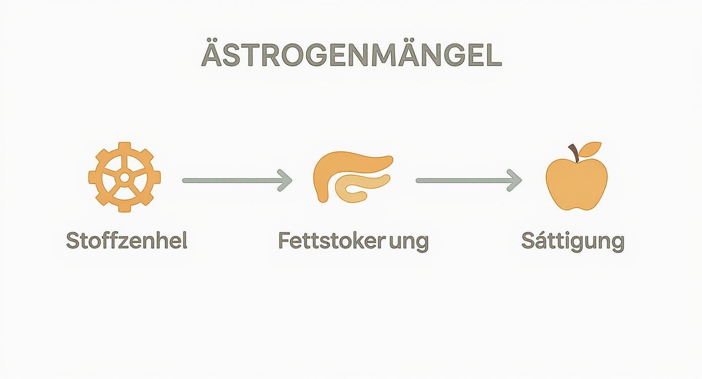 Infographic about östrogenmangel gewichtszunahme
