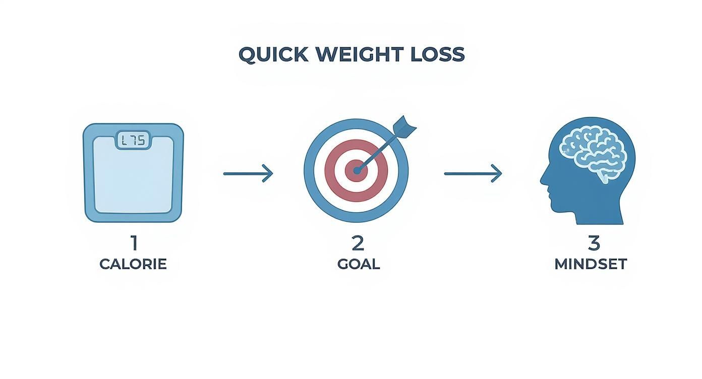 Infographic about wie nehme ich schnell ab