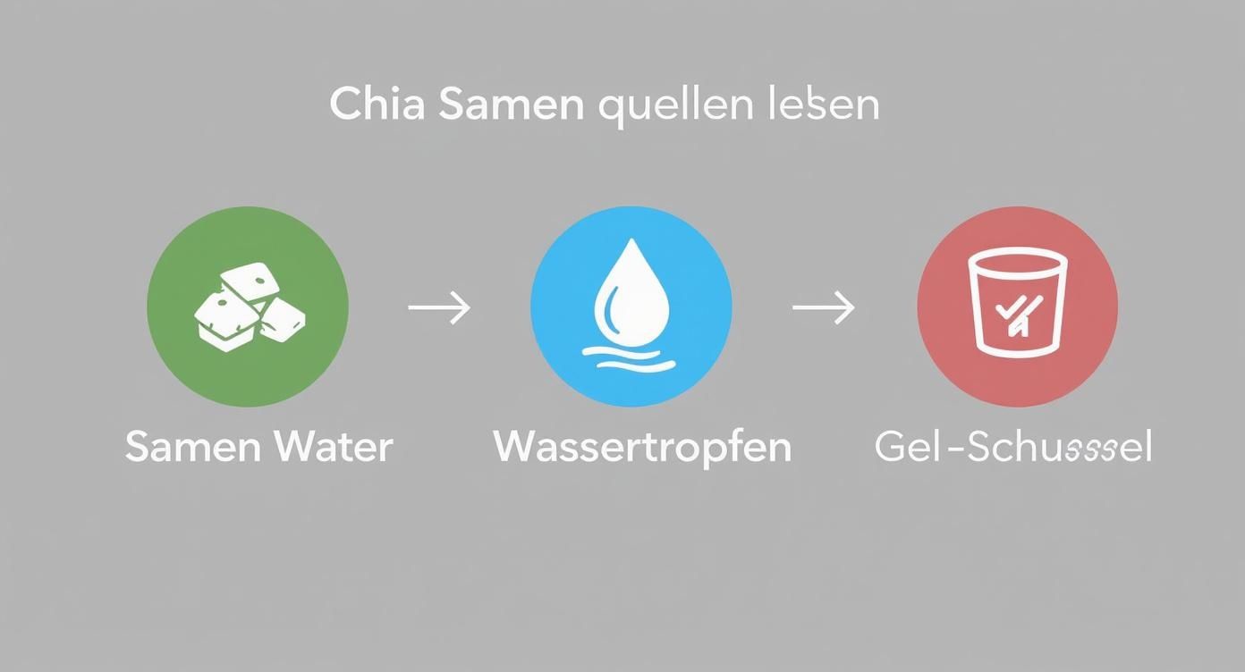 Infographic about muss man chia samen einweichen