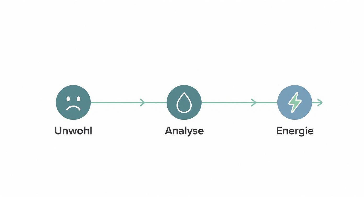 Prozessdiagramm zeigt drei Schritte: Unwohl fühlen, Blutanalyse durchführen, Energie zurückgewinnen