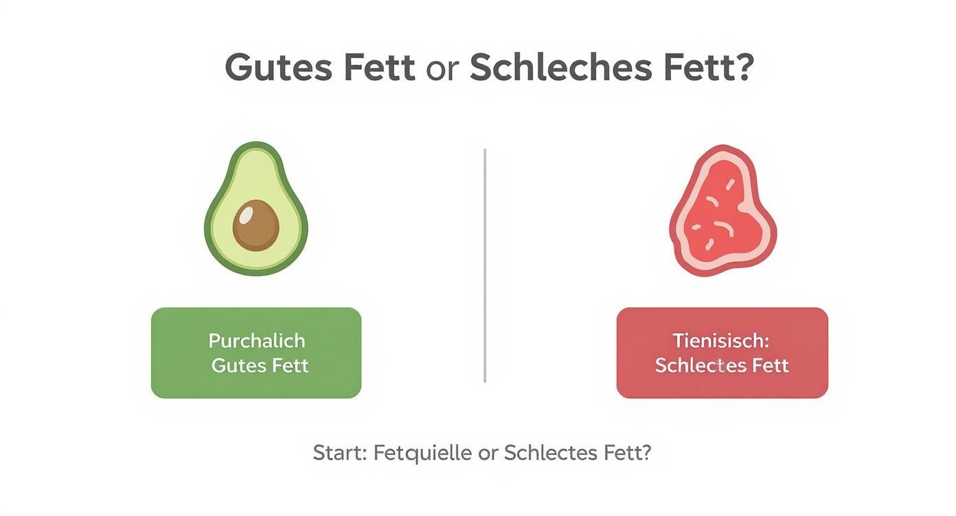 Infografik, die als Entscheidungsbaum zeigt, wie man zwischen guten und schlechten Fettquellen unterscheidet.