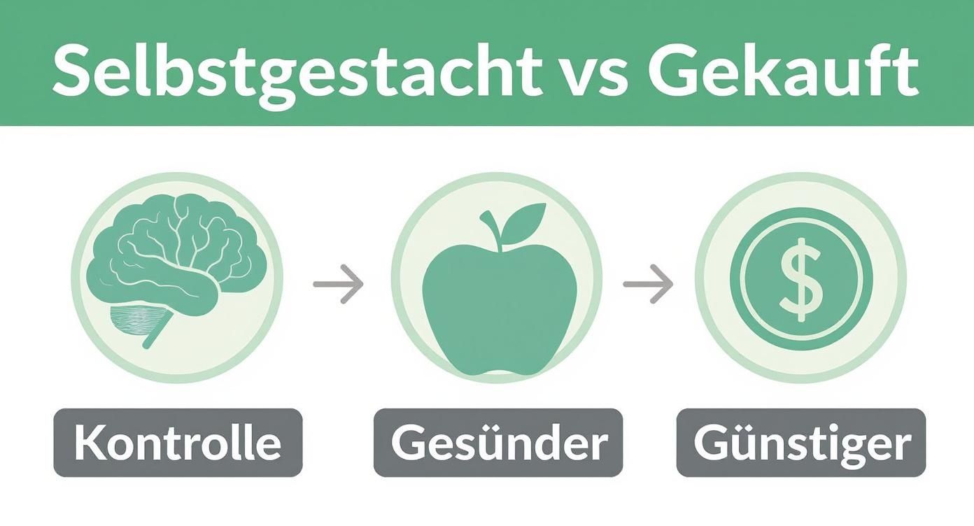 Infographic about shake zum abnehmen selbst gemacht