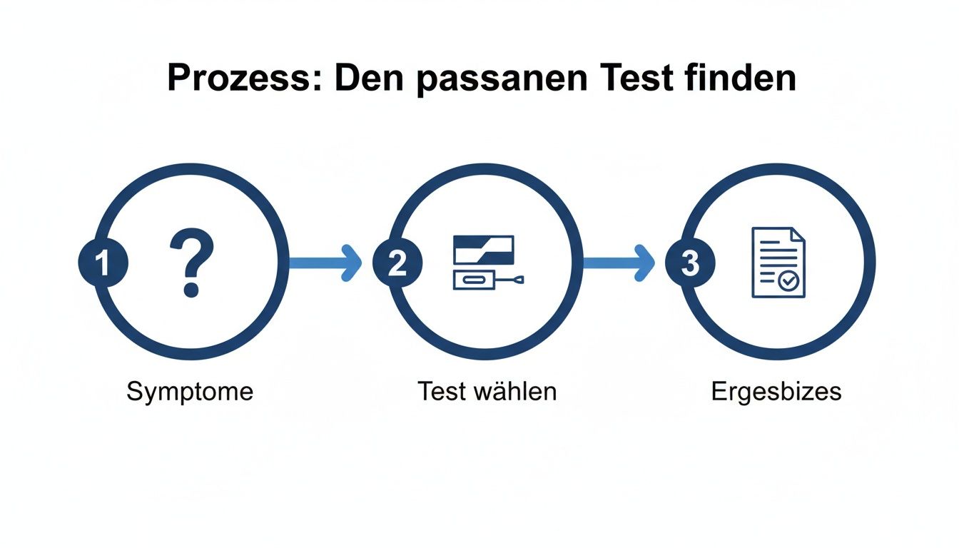 Ein Flussdiagramm zeigt den Prozess zur Ermittlung des passenden Tests: von Symptomen über die Testauswahl bis zu den Ergebnissen.