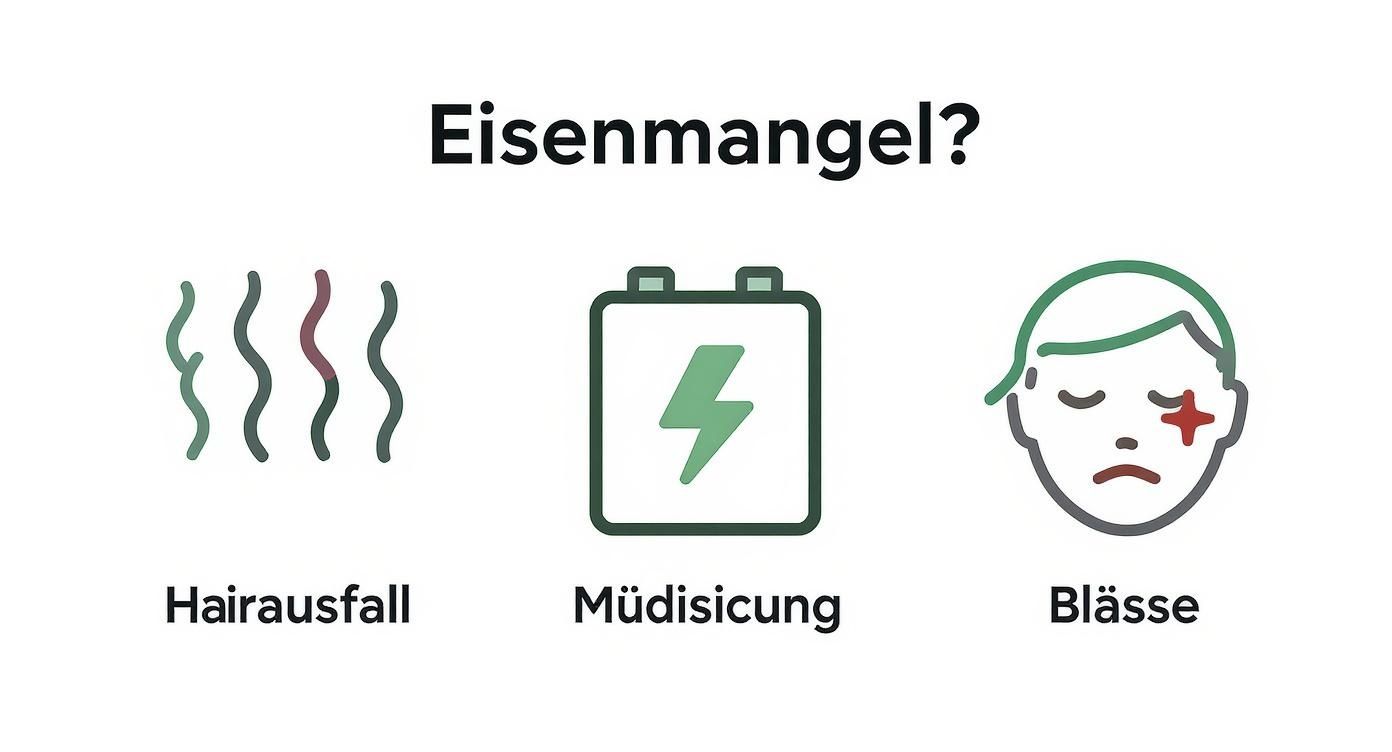 Graphik zeigt häufige Symptome von Eisenmangel: Haarausfall, Müdigkeit und Blässe, jeweils mit Icons.