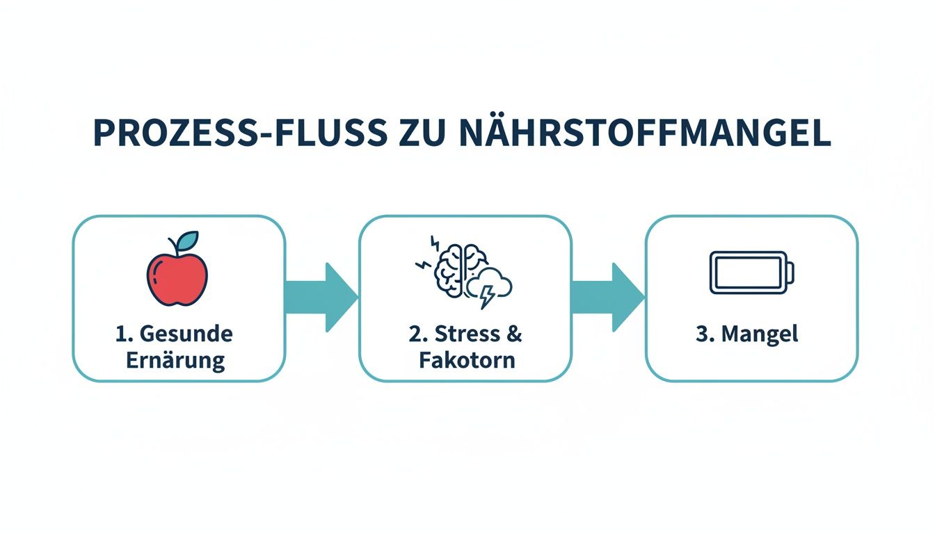 Ein Prozessflussdiagramm, das die Schritte von gesunder Ernährung über Stress bis zum Nährstoffmangel darstellt.
