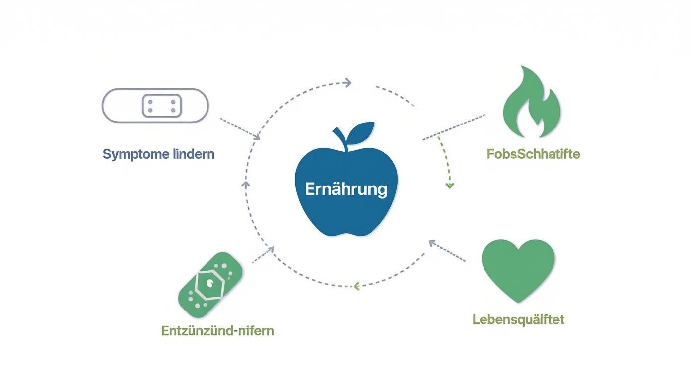 Ein Diagramm zeigt, wie Ernährung Symptome lindert, den Stoffwechsel anregt, Entzündungen reduziert und die Lebensqualität verbessert.