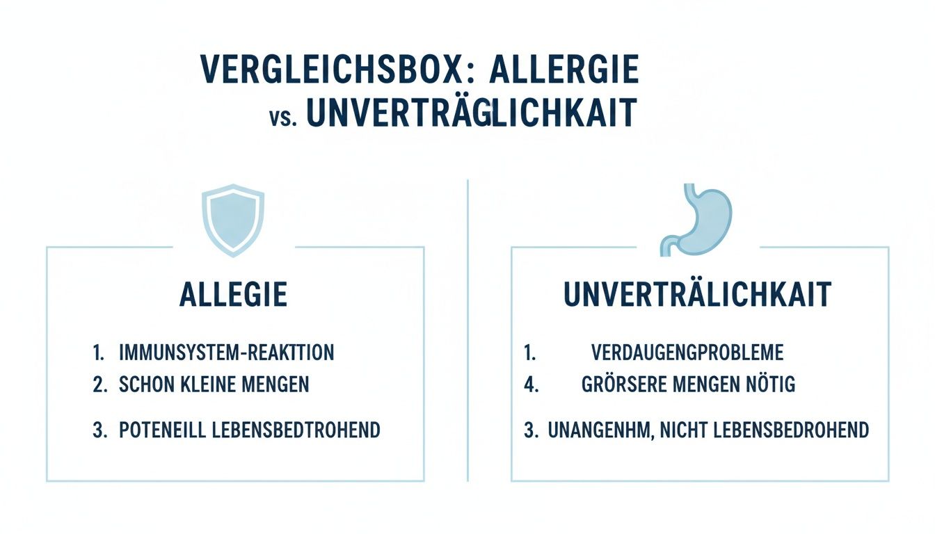 Vergleichstabelle zu Allergie und Unverträglichkeit mit Kernmerkmalen und Auswirkungen.