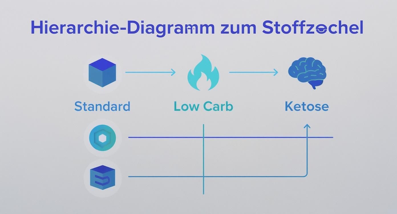 Hierarchie-Diagramm zum Stoffwechsel: Standard zu Low Carb zu Ketose mit Darstellung der metabolischen Pfade