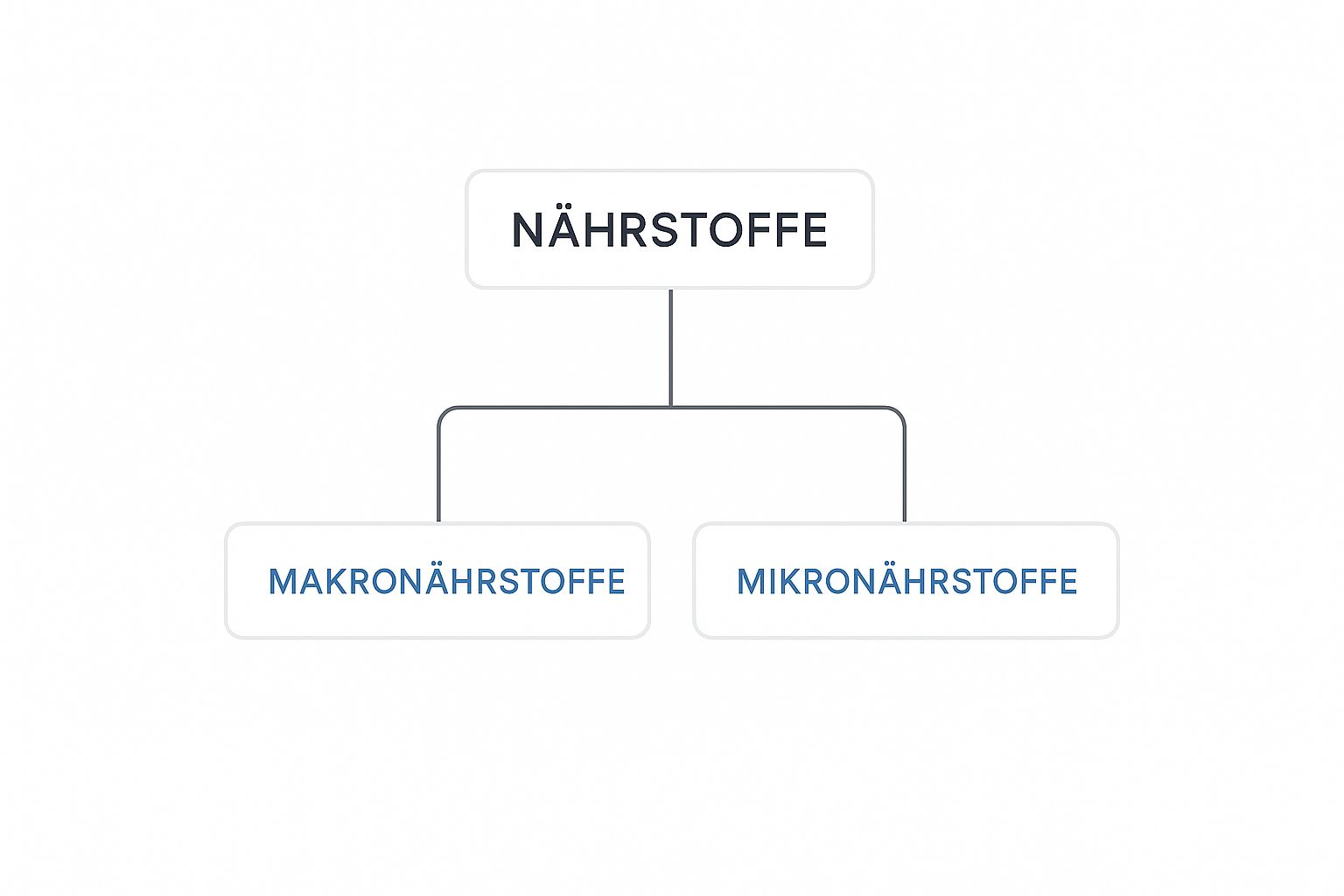 Infographic about was ist ein nährstoff