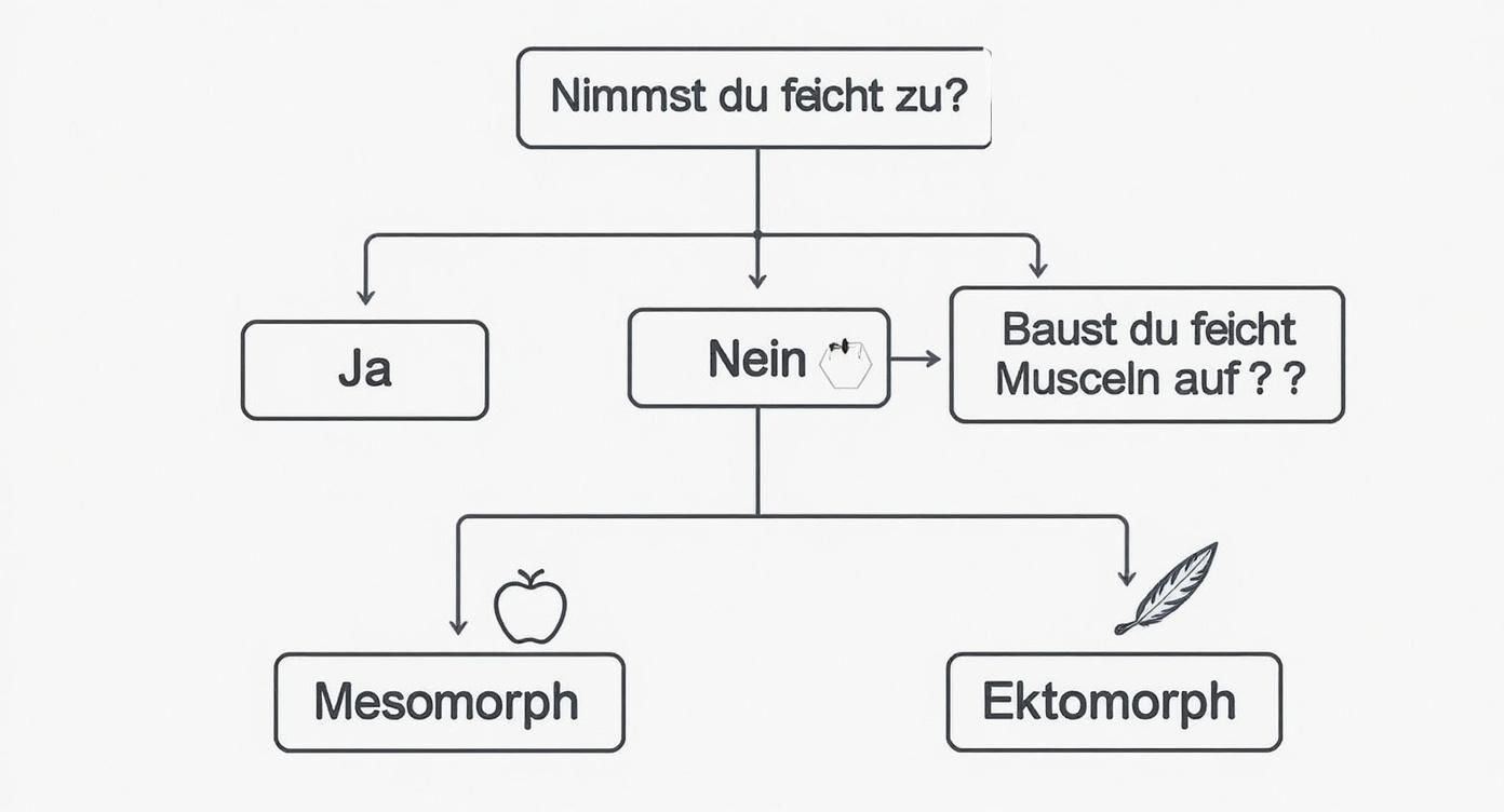 Infographic about welcher stoffwechseltyp bin ich