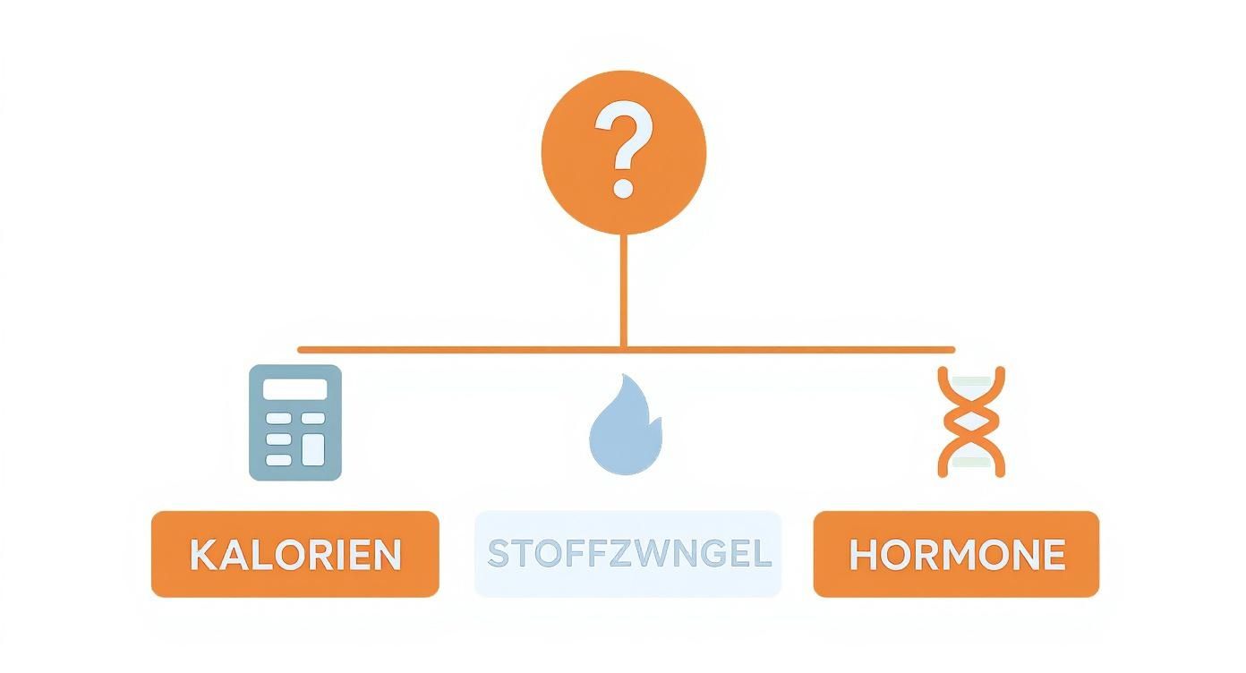 Diagramm zeigt Faktoren der Gewichtsabnahme: Kalorien, Stoffwechsel und Hormone mit Fragezeichen