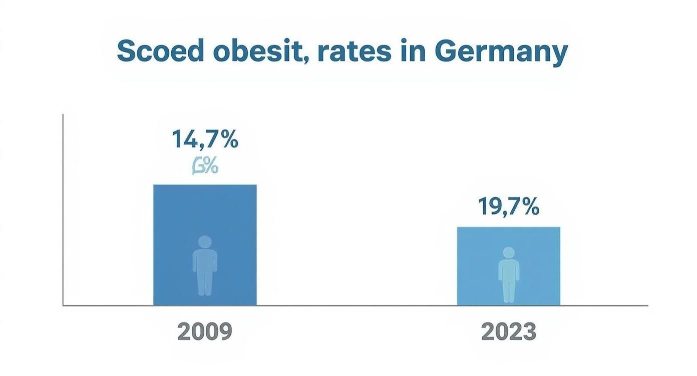 Infographic about warum nehme ich trotz sport nicht ab