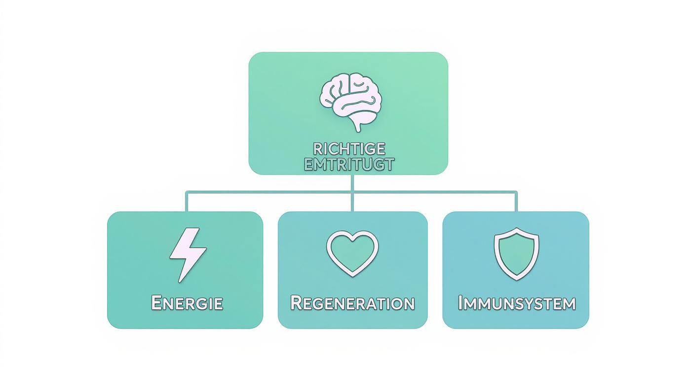 Infographic about richtige ernährung