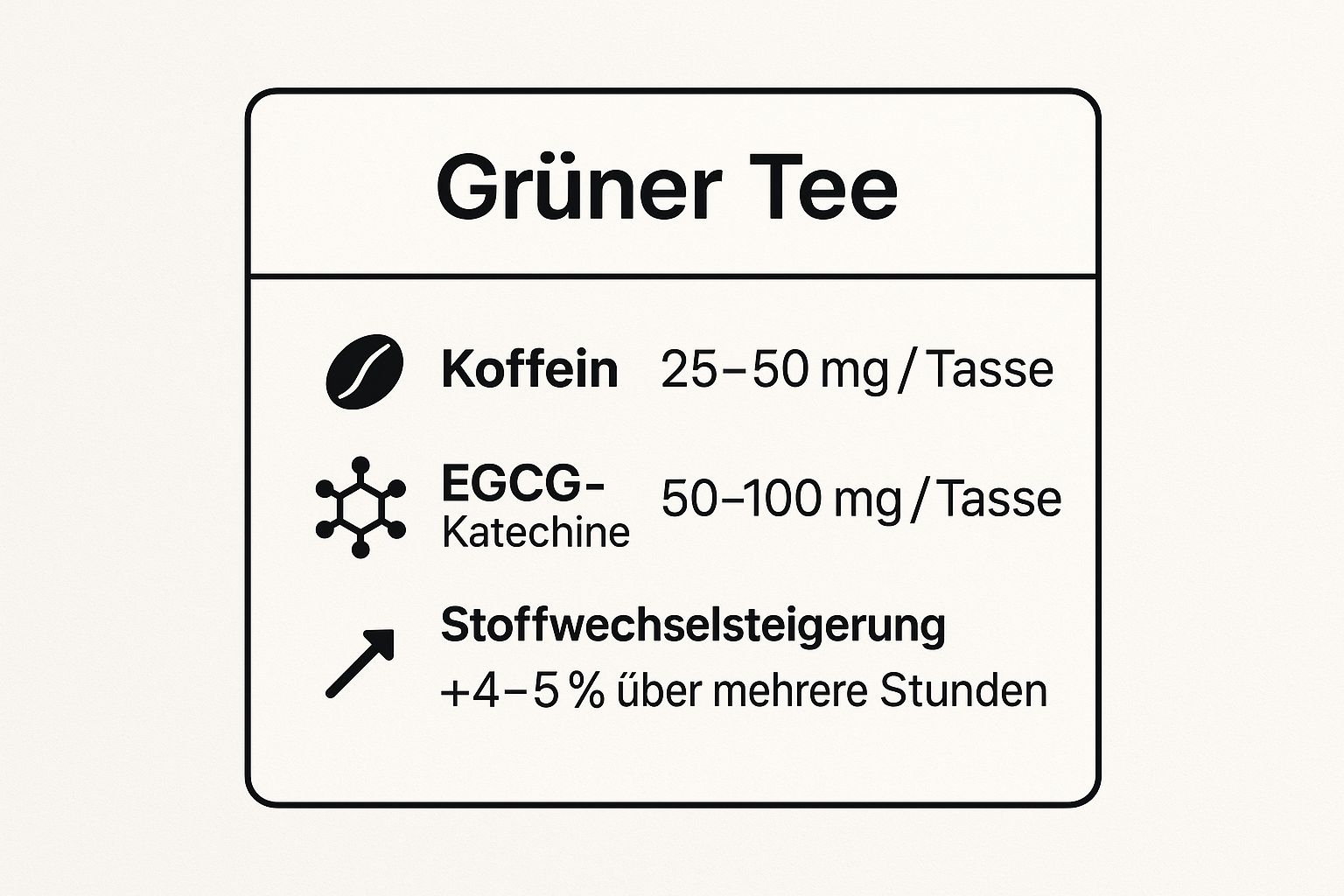 Infografik mit den wichtigsten Daten zu Grünem Tee: Koffein- und EGCG-Gehalt sowie die Stoffwechselsteigerung.