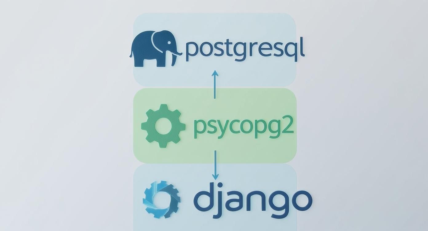 An infographic showing the hierarchy of a Django and PostgreSQL setup, with PostgreSQL at the base, Psycopg2 as the middleware, and Django at the top.