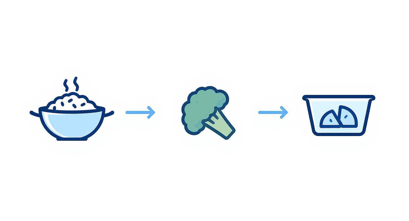 Food progression icons showing hot meal bowl, fresh broccoli vegetable, and healthy food storage container