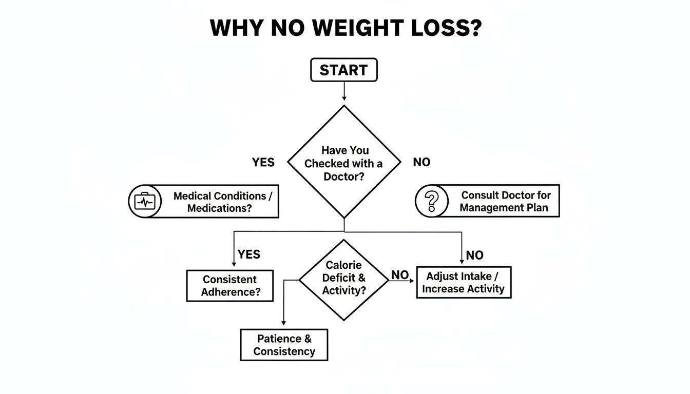 Flowchart explaining reasons for no weight loss, covering medical checks, calorie deficit, and consistency.