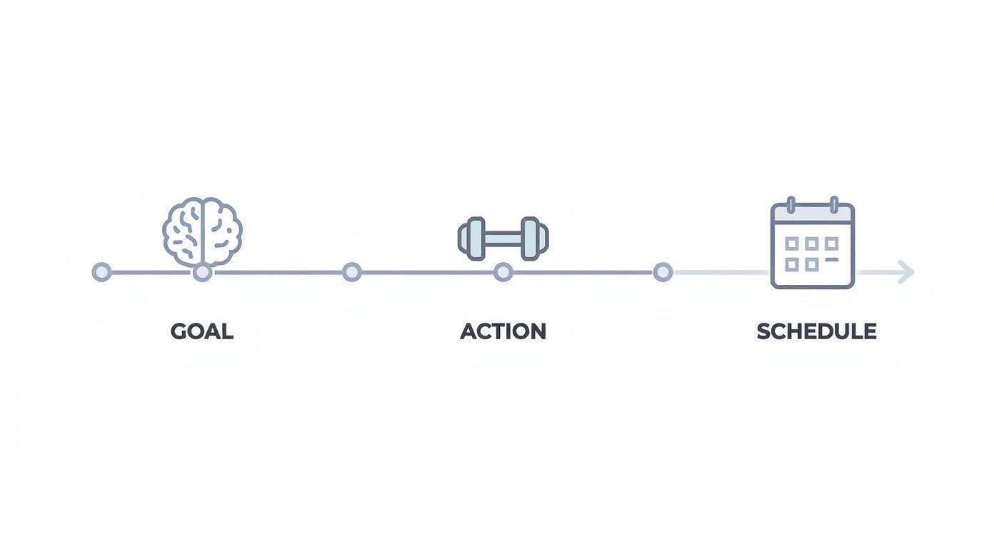 Infographic about how to start a fitness routine