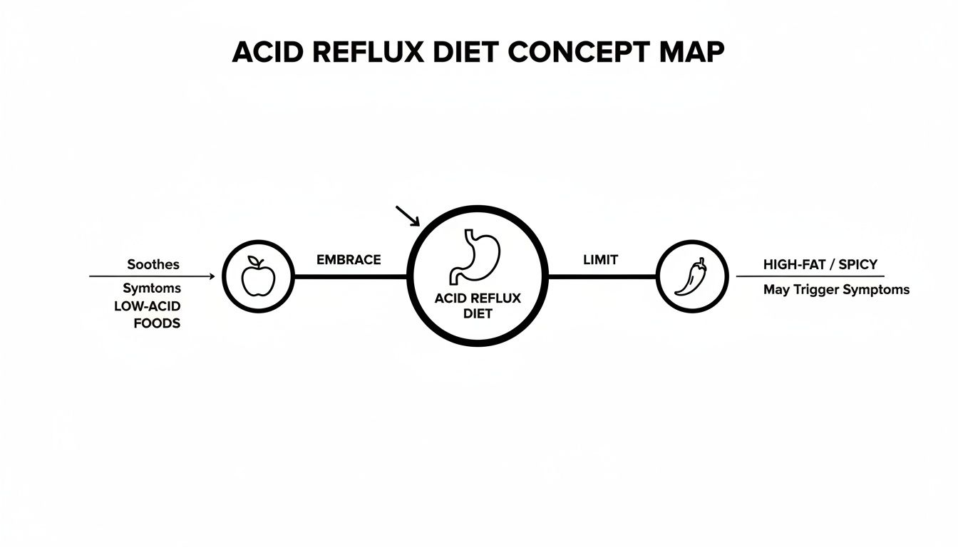 Concept map illustrating acid reflux diet, showing low-acid foods to embrace and high-fat/spicy foods to limit.