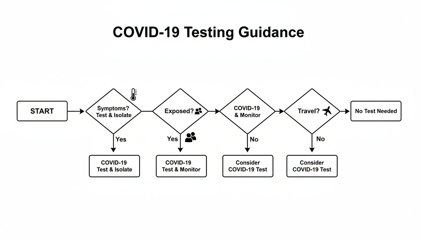 Flowchart outlining COVID-19 testing guidance based on symptoms, exposure, monitoring, and travel status.