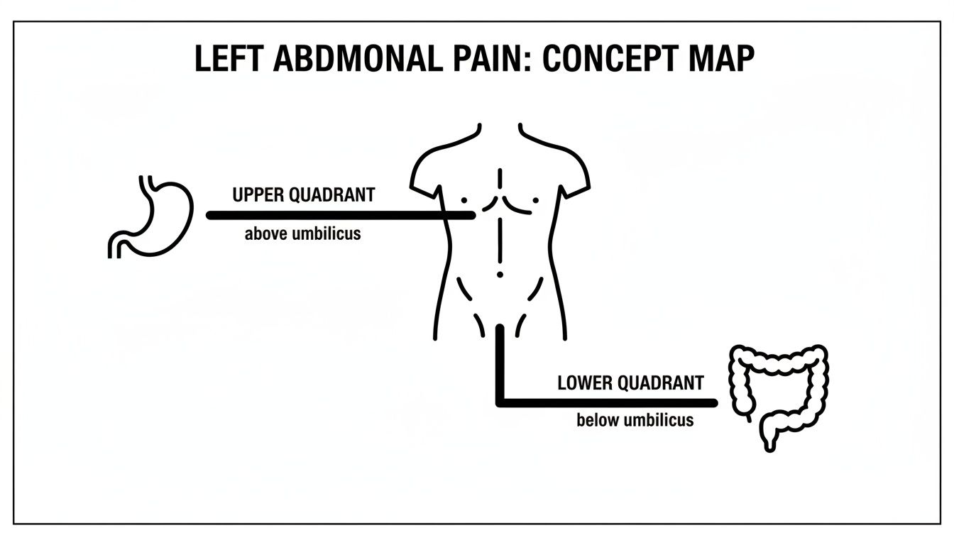 Concept map illustrating left abdominal pain, showing upper quadrant (stomach) and lower quadrant (intestines).