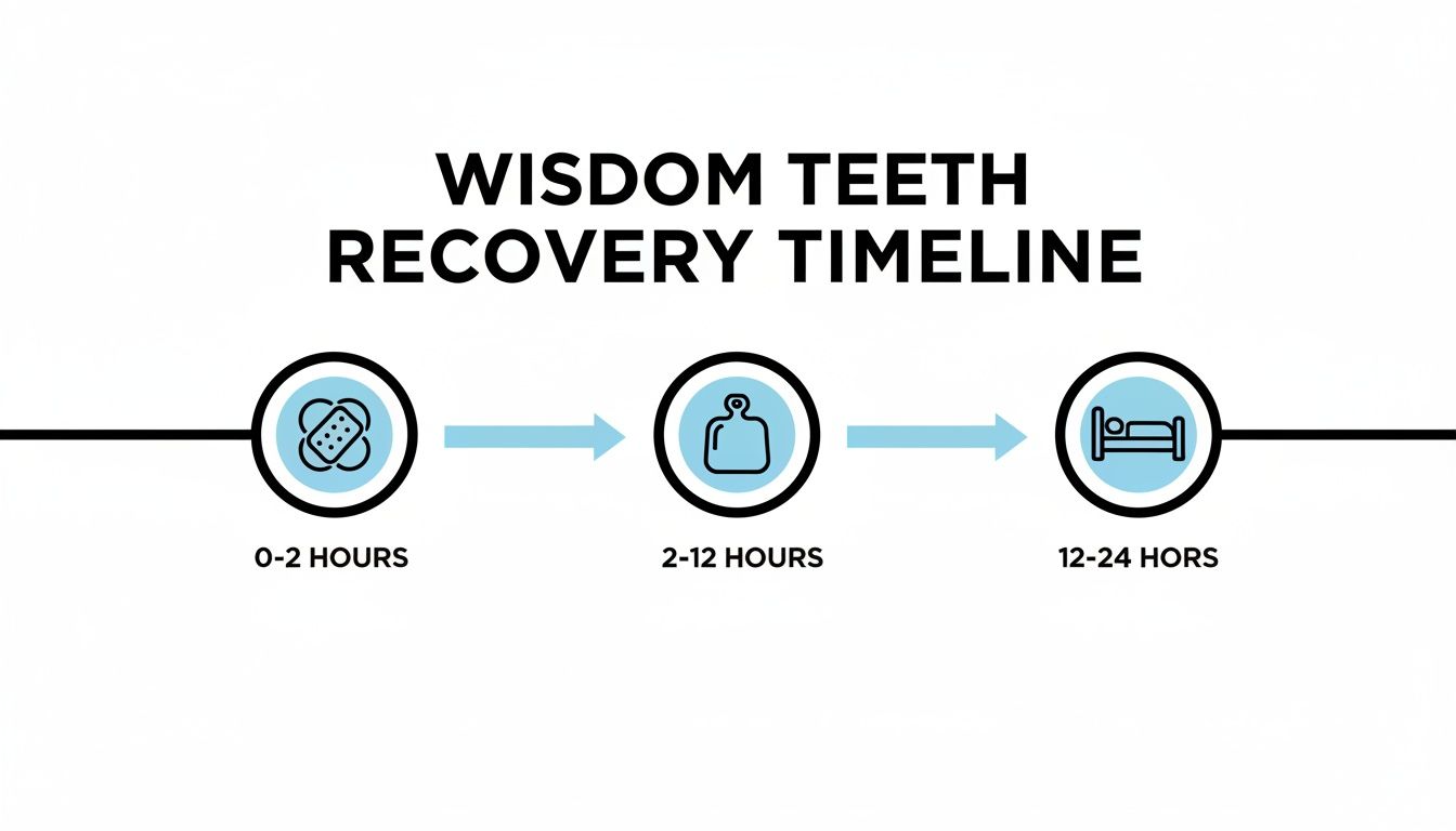 Timeline illustrating the recovery process after wisdom teeth removal with icons for 0-2, 2-12, and 12-24 hours.