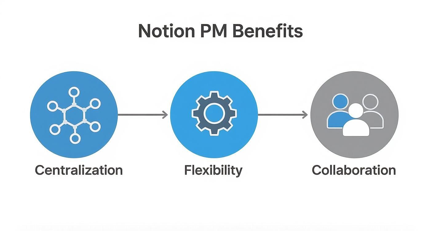 Infographic about notion template for project management