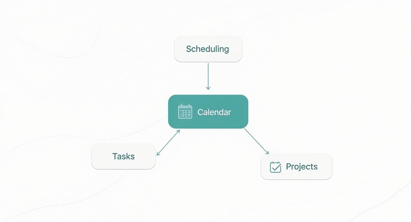 Infographic about notion calendar templates