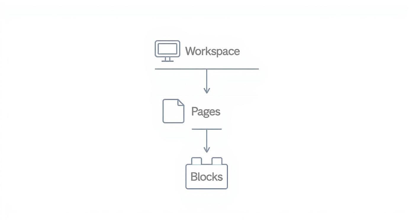 Infographic about notion definition