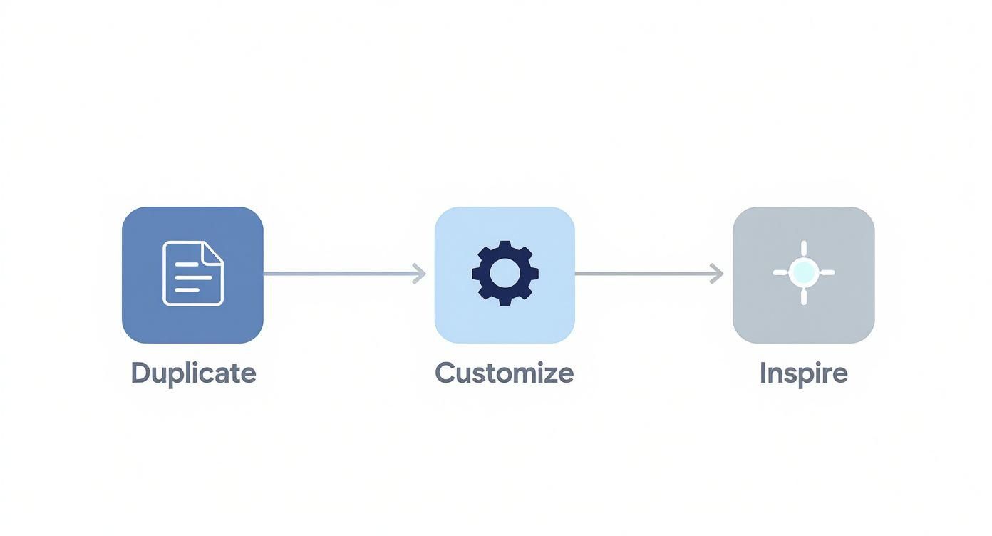 Infographic about notion habit tracker templates