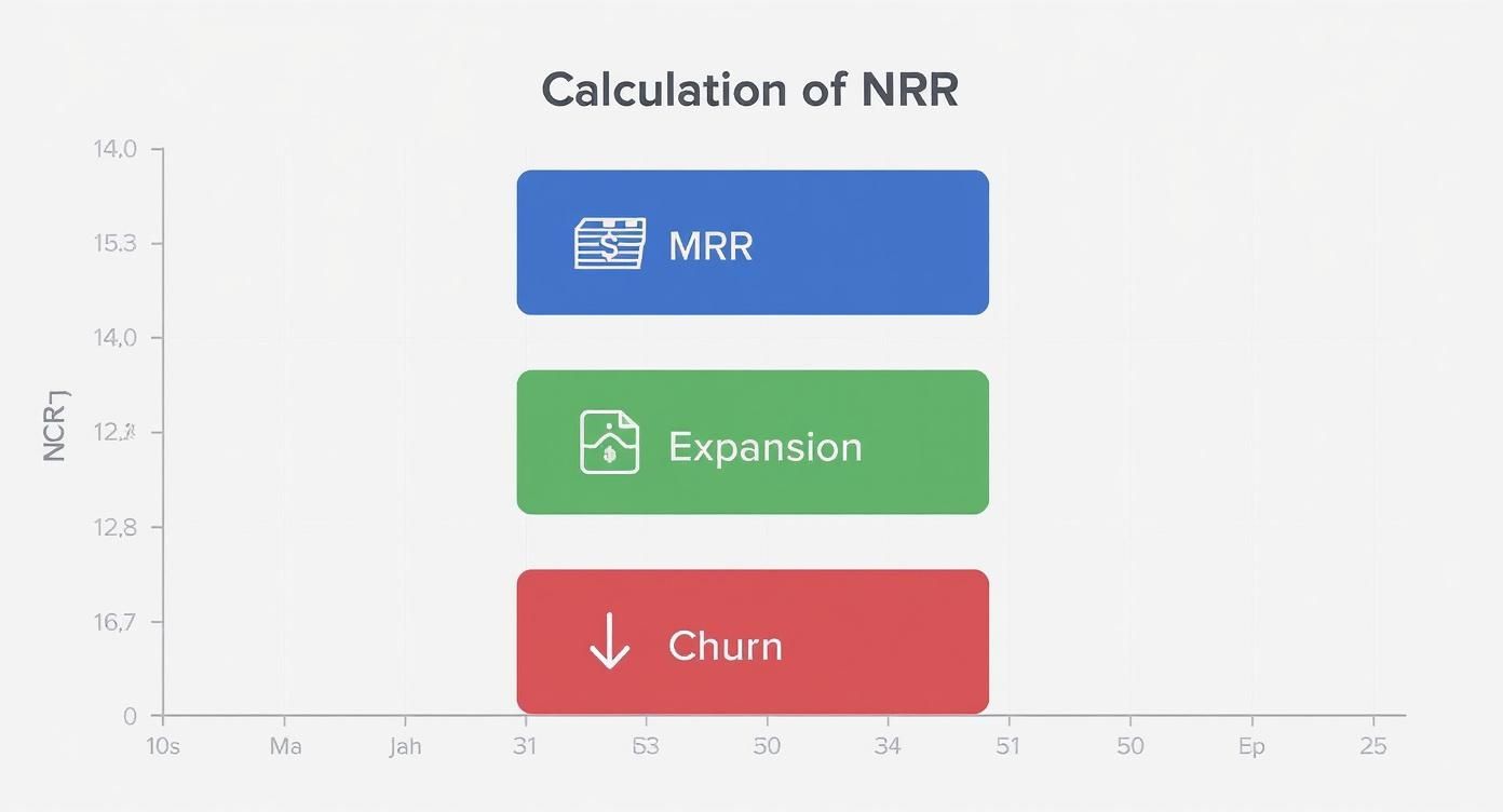 Infographic about free net revenue retention calculator