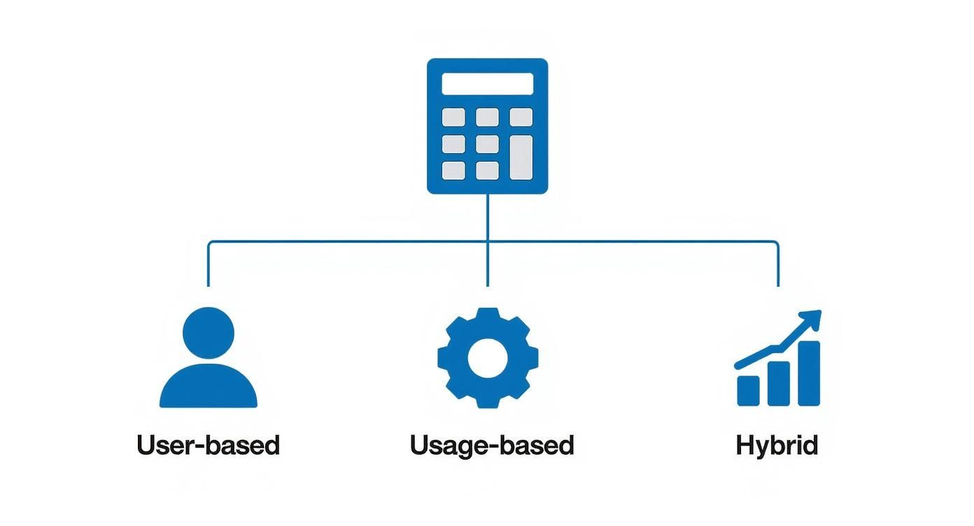 Calculator icon connected to three pricing models: user-based, usage-based, and hybrid subscription strategies