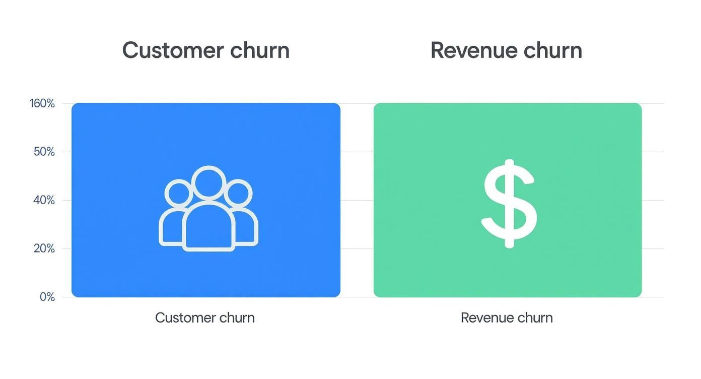 Infographic comparing Customer Churn (people icons) versus Revenue Churn (dollar sign icons) to highlight the difference for a churn rate calculator free tool