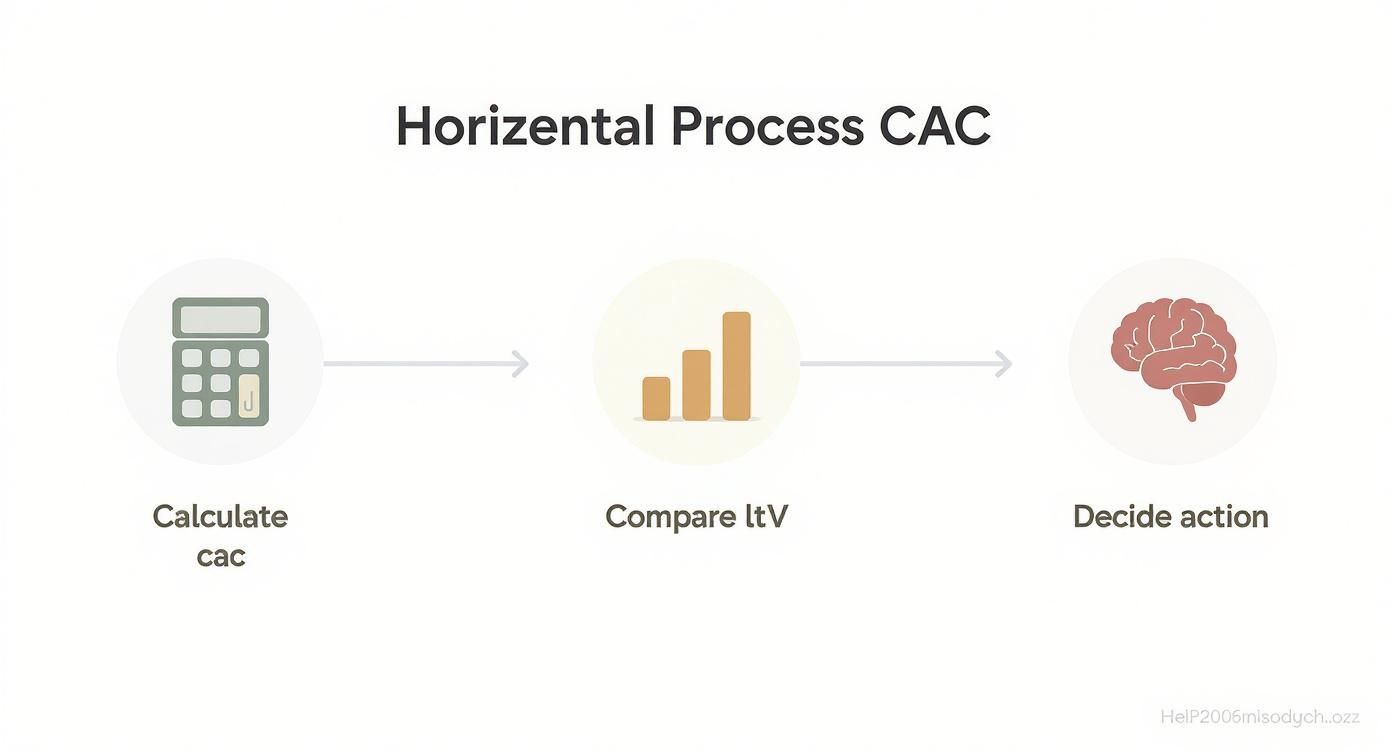 Infographic showing a three-step process: Calculate CAC with a calculator icon, Compare to LTV with a bar chart icon, and then Decide Action with a brain icon.