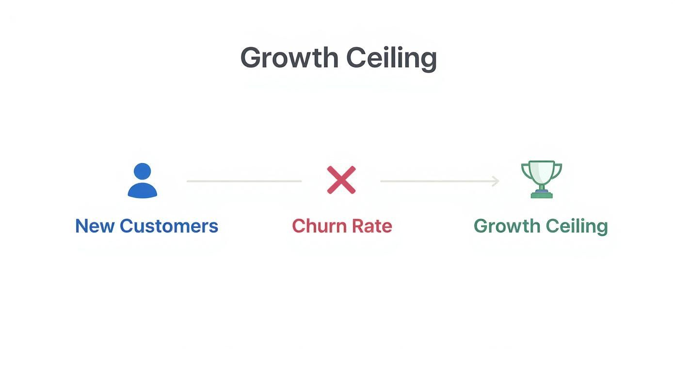 Diagram illustrating new customers being affected by churn rate, ultimately leading to a growth ceiling.