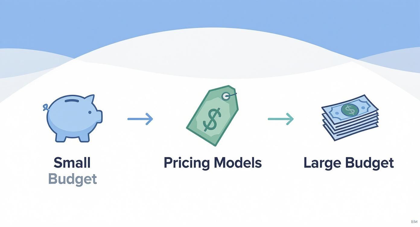 Infographic about email advertising costs