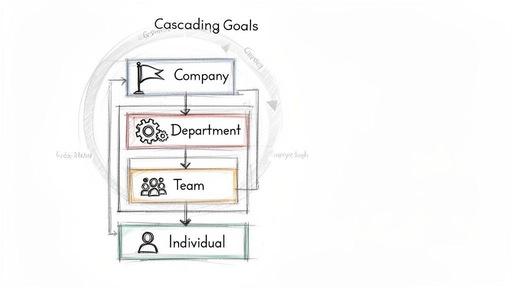 Diagram showing cascading goals from company to individual, illustrating strategic alignment in an organization.