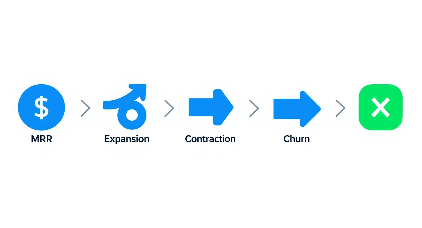 Infographic about NRR calculator free