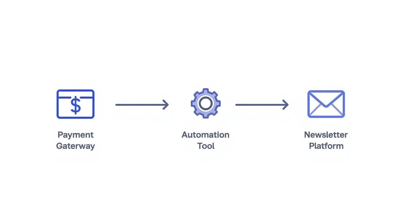 Infographic showing the process flow of an automation stack, starting with a Payment Gateway, moving to an Automation Tool, and ending at a Newsletter Platform.