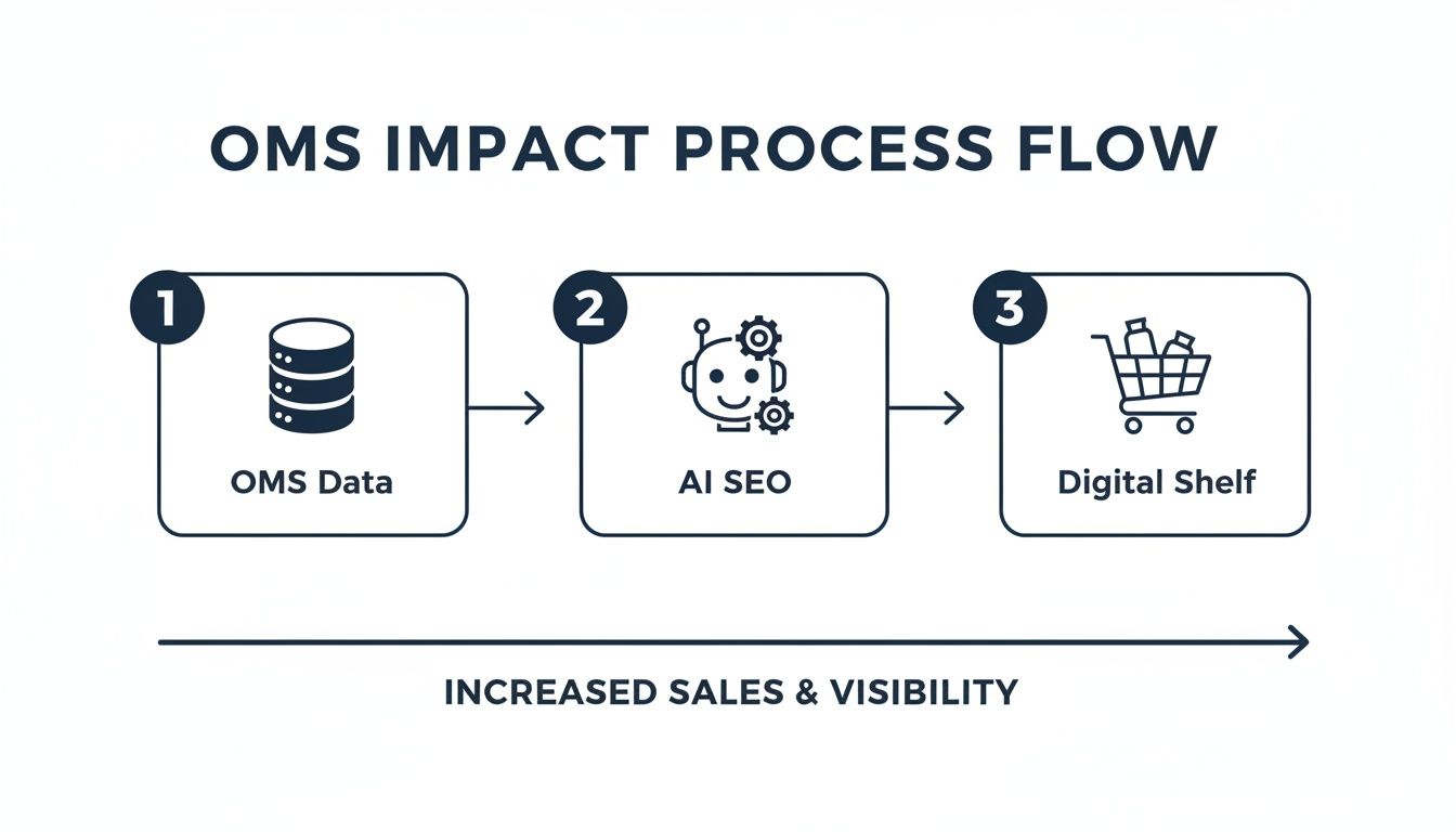 Process flow showing OMS data leading to AI SEO, then to a digital shelf for increased sales and visibility.