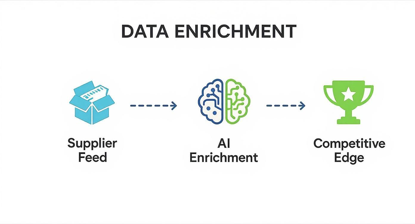 Infographic showing the process of transforming a basic supplier feed, through AI enrichment, into a competitive edge for retail visibility.