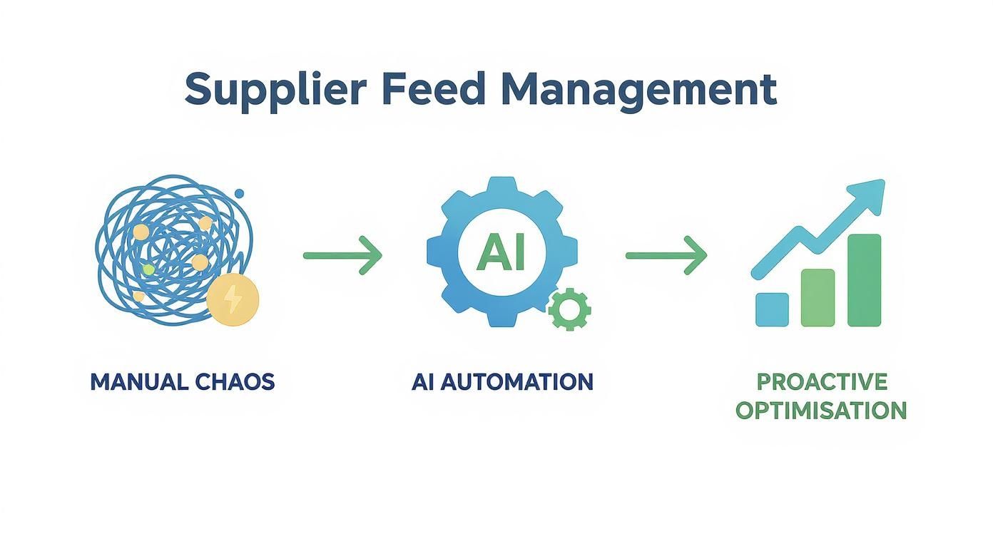 Infographic about supplier feed management