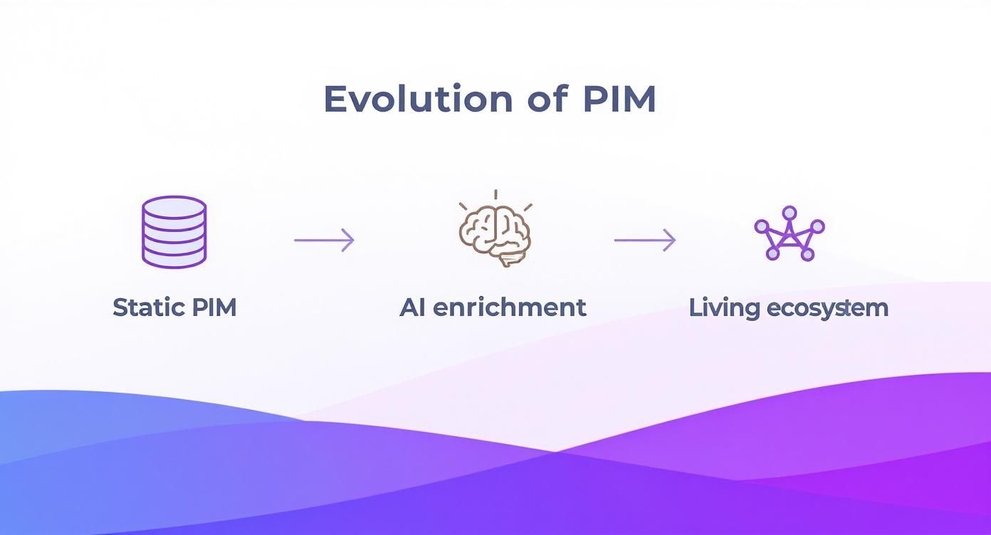 Infographic showing the process flow from a static PIM, through AI Enrichment, to a final Living Ecosystem.
