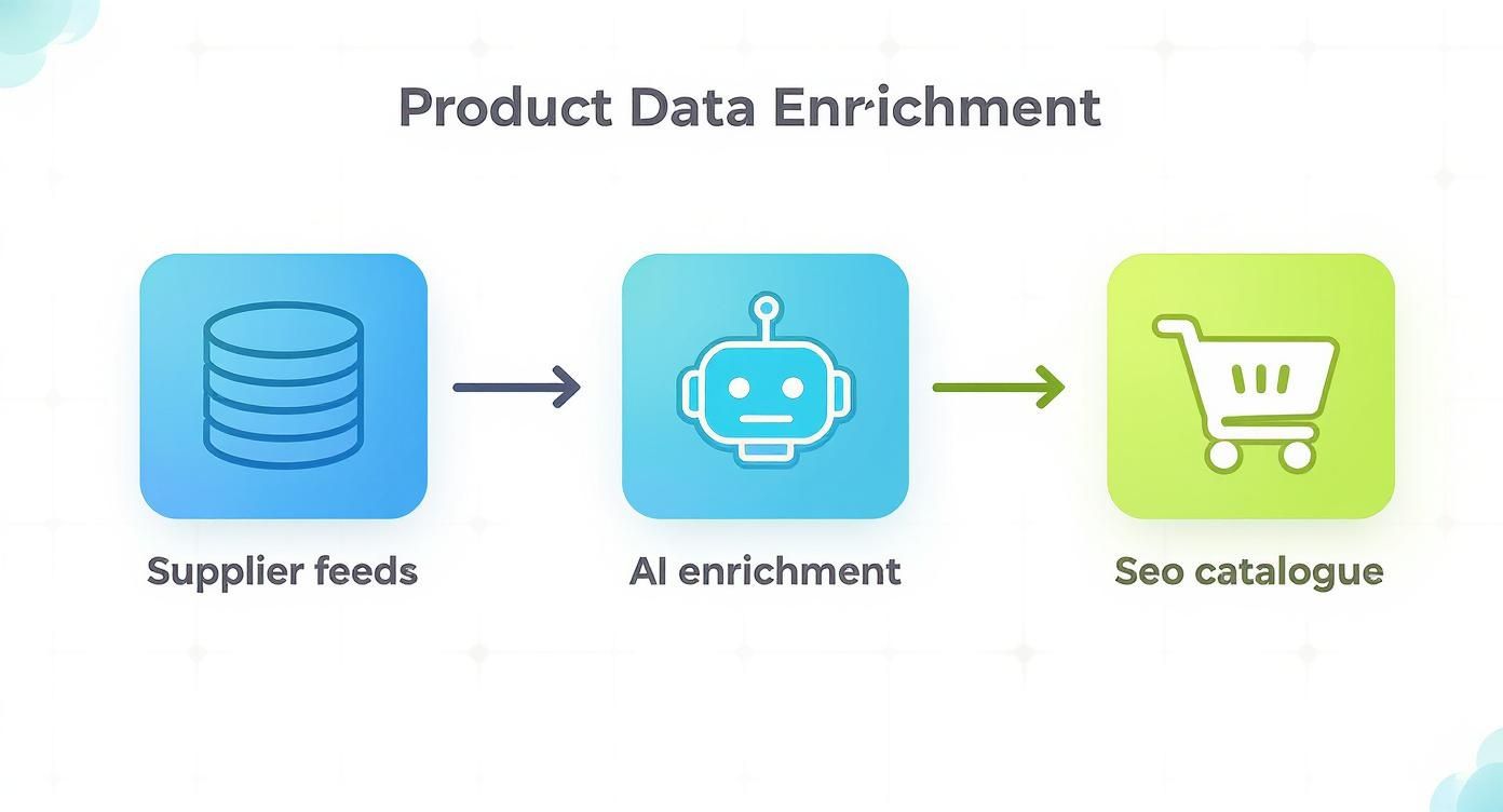 Diagram illustrating product data enrichment flow: supplier feeds, AI enrichment, and SEO catalogue.