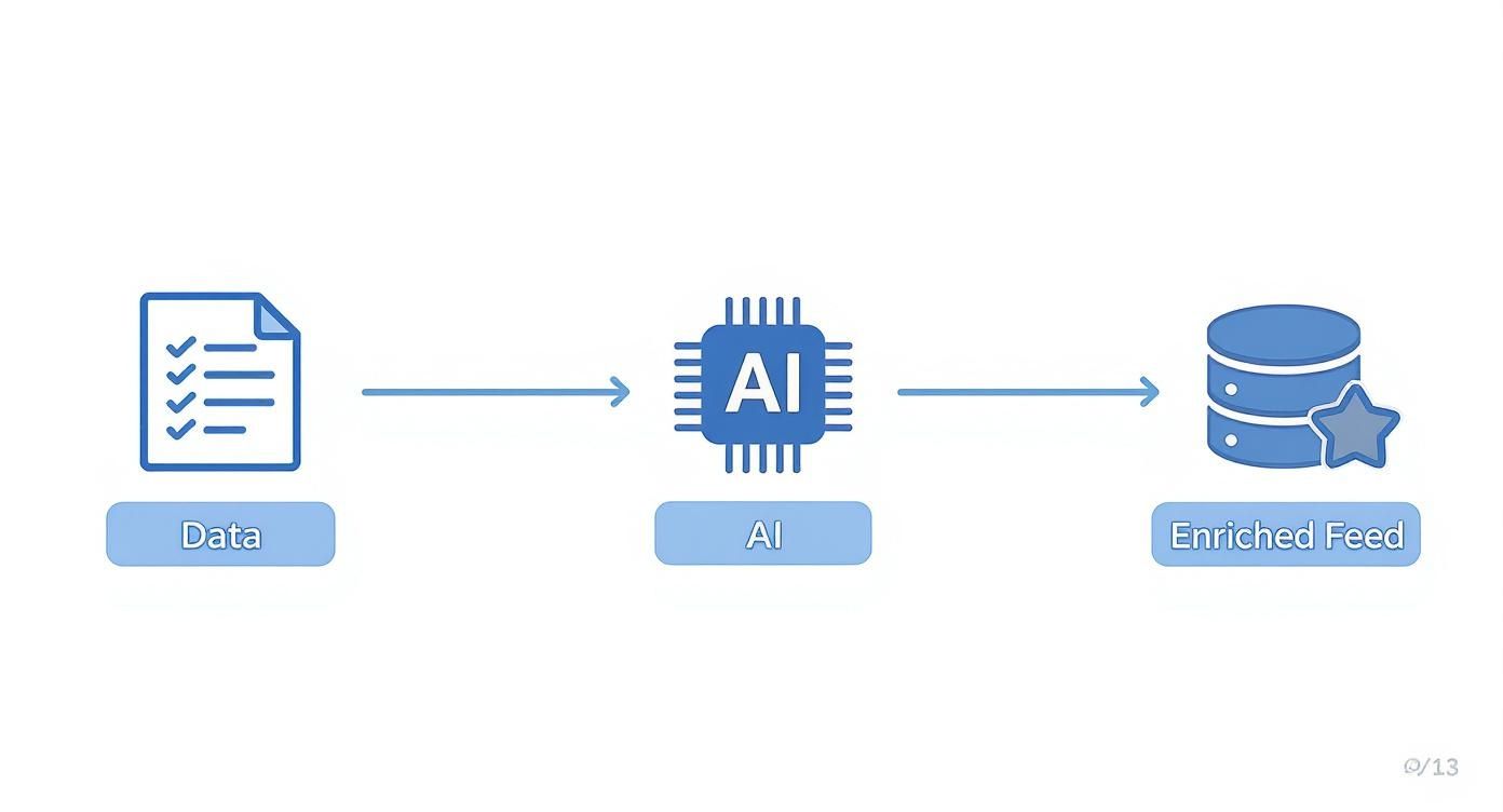 Infographic about AI Product Feeds, showing data flowing from a spreadsheet, through an AI brain icon, to an enriched server icon.
