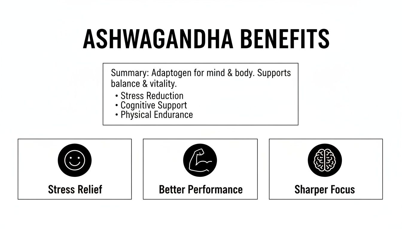 Ashwagandha benefits infographic, highlighting stress relief, better performance, and sharper focus.